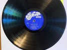 ERROL BROWN: PLEASURE DUB.  TREASURE ISLE.   VINYL LP