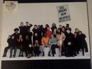 The Brand New Heavies Brother Sister Vinyl LP 1994 US