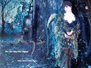Enya - How Can I Keep From Singing? (12