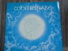 WHITESNAKE - Still Of The Night 12