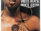 PETE ROCK SOUL SURVIVOR LOUD 7863676161 US ORIGINAL INNER SLEEVE VINYL 2LP