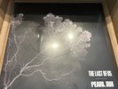 Pearl Jam The Last Of Us Ten Club Exclusive EP Vinyl LP IN HAND