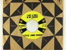 Rockabilly 45 - Little Jimmy Dickens - I Got A Hole In My Pocket - Columbia VG+