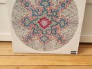 Red Hot Chili Peppers I’m Beside You 2 LP RSD 2013 Limited Numbered 0981/5000