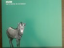 Hum You'd Prefer an Astronaut 2LP Translucent Green 45 RPM Vinyl Record NM/EX