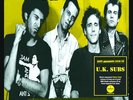 UK SUBS - Peel Sessions Yellow Vinyl - Preorder - New Vinyl Record - - O600z