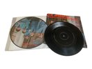 The Animals – The House Of The Rising Sun Picture Disc + Miss Press - Vinyl