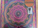 GRATEFUL DEAD - Boston Garden 5.7.77 5 x VINYL LP Box 2023 Rhino BRAND NEW