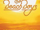 The Beach Boys : Sounds of Summer: The Very Best of the Beach Boys VINYL 12