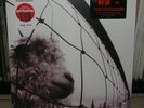 PEARL JAM VS CLEAR LP DAUGHTER GO ANIMAL DISSIDENT RATS LEASH BLOOD REARVIEW