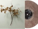 Copeland In Motion (Vinyl)