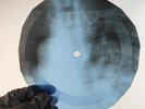 BEATLES THINGS WE SAID TODAY X-Ray USSR Record Roentgen Bone Ribs Music Vinyl