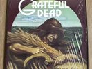 GRATEFUL DEAD LP Wake of the Flood 1973 GD-01 Vinyl is EX+ Tested Gorgeous