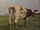 Pink Floyd Atom Heart Mother vinyl LP 1970 UK 1st pressing Harvest SHVL 781 VG++