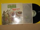 A Child's Garden of Grass ORIGINAL GLOSSY COVER HAND CLEANED&TESTED NM LP