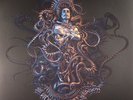 Meshuggah - The Violent Sleep Of Reason * LTD. Picture Disc 2x LP 2016