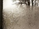 Bon Iver For Emma Forever Ago - LP 33T