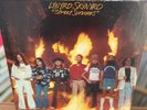 LYNYRD SKYNYRD STREET SURVIVORS FLAMES COVER 1ST PRESSING HARD SOUTHERN ROCK