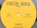 Dancehall Roots Reggae  ECCLETON JARRETT RAINDROPS  US Fresh Rock 12