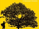 JACK JOHNSON IN BETWEEN DREAMS [CANARY YELLOW LP] NEW LP