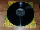 MAJISTARIANS (EVERTON DACRES) - SO MANY TIMES - REVUE ( ROOTS 12 ) BLACK VG-  PS