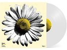 V.A. - Heart Of Gold: Songs Of Neil Young White Vinyl  (2025 - US - Original)