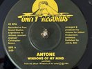 Antone  45 - Windows Of My Mind - Unity  - VG