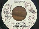 Northern Soul R&B Little Jewel I Want To It Doesn’t Matter Tayster Promo