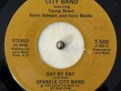 Sparkle City Band 45 - Day By Day - Sparkle City Bank, Inc. - VG