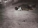 John Zorn Naked City NEAR MINT Elektra Nonesuch Vinyl LP