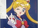 PRETTY GUARDIAN SAILOR MOON - 30th Anniv. (LIMITED PINK DOUBLE VINYL LP 2023)