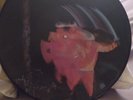 Black Sabbath Paranoid Picture Disc lp
