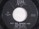Garage 45 LEAVES Hey Joe, Where You Gonna Go? MIRA whistle mix HEAR i