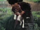 YUKIHIRO TAKAHASHI Tomorrow's Just Another Day [Import] Records & LPs New