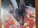 Rolling Stones Goats Head Soup Vinyl 1973