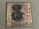 Dinosaur Jr. - Bug Vinyl LP 1988 	SST Records SST 216