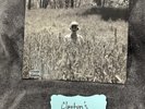 Taylor Swift Folklore in The Weeds *Sealed* (Limited Edition Deluxe, Vinyl LP