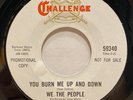 PROMO Psych Garage Rock 45 WE THE PEOPLE You Burn Me Up And Down VG+ listen