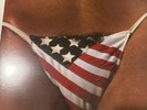 The Black Crowes - Amorica [New Vinyl LP]