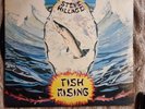 Steve Hillage Fish Rising 1975 Virgin V 2031 A-1 B-1