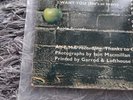 BEATLES Abbey Road 1ST UK PRESS -2/-1 Matrix MISALIGNED APPLE EX/NM