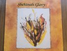 Shekinah Glory - A Praise And Worship Experience LP Record Fortress VG+/EX