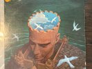 Luiz Bonfa - Introspection Vinyl record