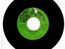 #80 ROOTS REGGAE 45 VICTORIUS STEPPERS LABEL VICEROYS 