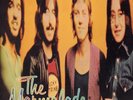 LP The Marmalade Reflections Of My Life And Other Great Songs NEAR MINT Decca