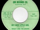 WALLY AND THE RIGHTS - HEY NOW LITTLE GIRL/ZIPPER - CRUDE TEXAS GARAGE 45 - HEAR