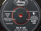 Phil Phillips With The Twilights - Sea Of Love (7
