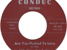 Eddie King & Mae B. May  Are You Pushed To Love / Please Mr. D.J. 1965 C 101