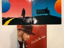 BOBBY CALDWELL CAT IN THE HAT - CARRY ON - BOBBY CALDWELL