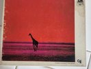 Antonio Carlos Jobim Wave Reel AM Records 7 1/2 AMC 3002